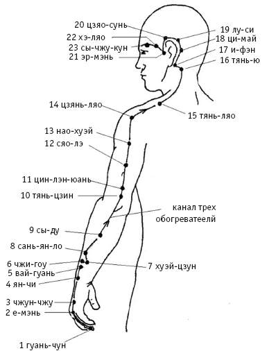 Точка тайный. Чжи гоу точка акупунктуры. Точка фэн Мэнь. Точка Чжун Чжу. Чжун Чжу точка акупунктуры.