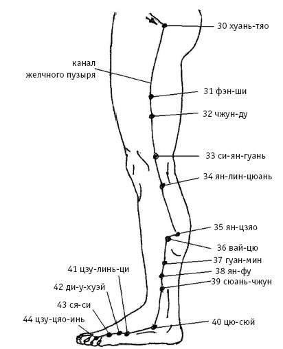 Меридиан печени и желчного пузыря на картинке
