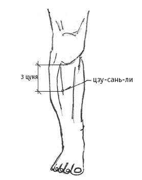 Точка тайный. Акупунктурные точки коленного сустава. Точка Цзу-Сань-ли. Акупунктура коленного сустава точки. Цзу-Сань-ли точка долголетия.