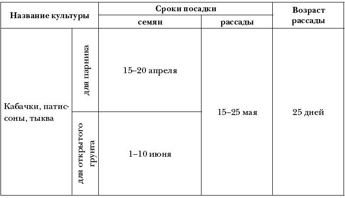 Кабачки посадка в открытый грунт семенами схема посадки