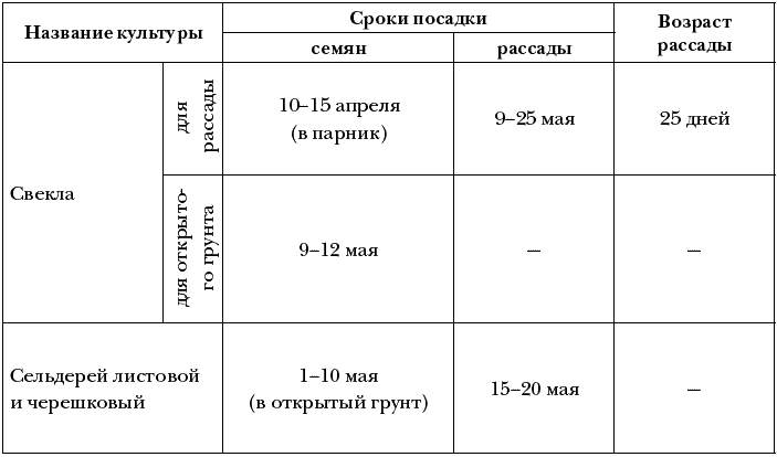 Схема посадки свеклы в открытом грунте расстояние между рядами