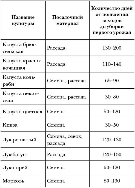 Сроки появления всходов овощных культур