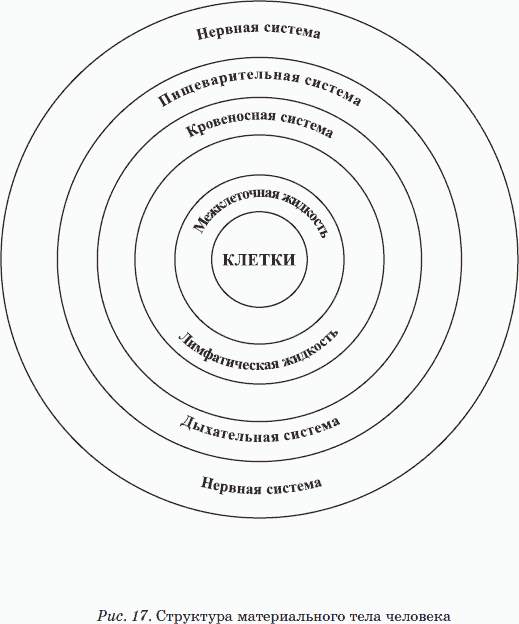 Материальное тело. Бирюков вибрационная терапия. Вячеслав Бирюков вибрационная терапия. Вибрационная терапия вибрации заменяют все таблетки.