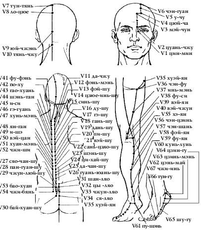23 точки. Точка v23 Шэнь-Шу. Шу точки мочевого пузыря. Точка v10 Тянь-Чжу. Шэнь Шу точки почек.