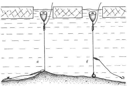 Донная снасть на осетра схема