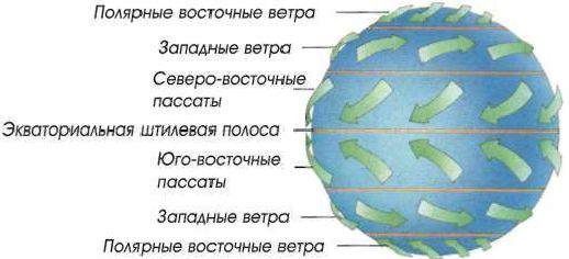 Какой цифрой на схеме обозначены западные ветры ответ